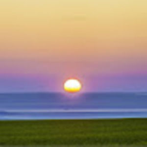 Meet your Posher, Annabelle